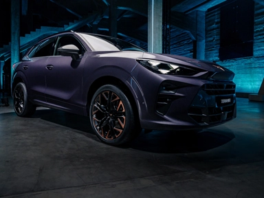 cupra terramar