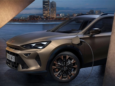 brązowa cupra formentor 2024