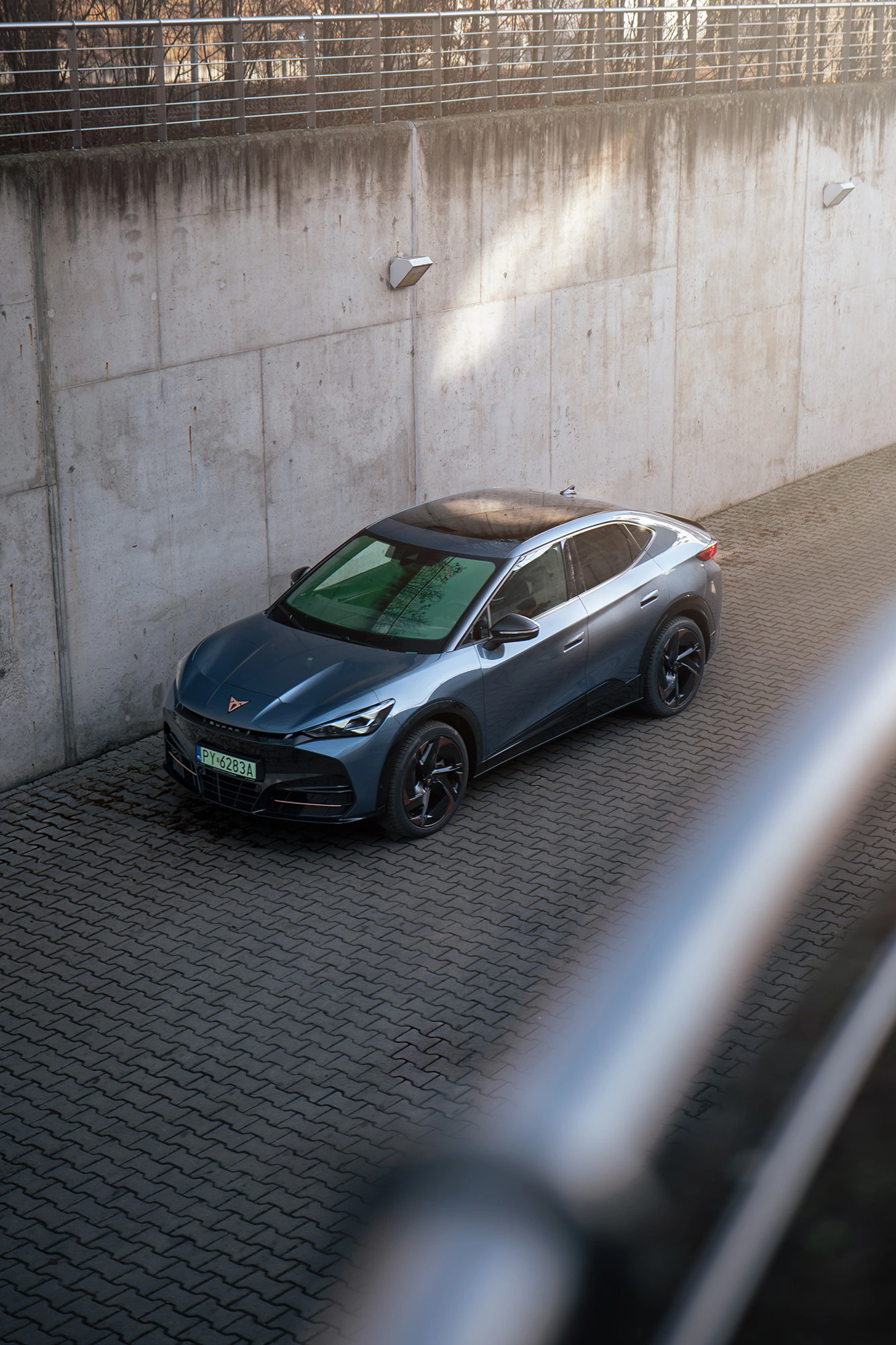 CUPRY Tavascan na minimalistycznym szarym tle