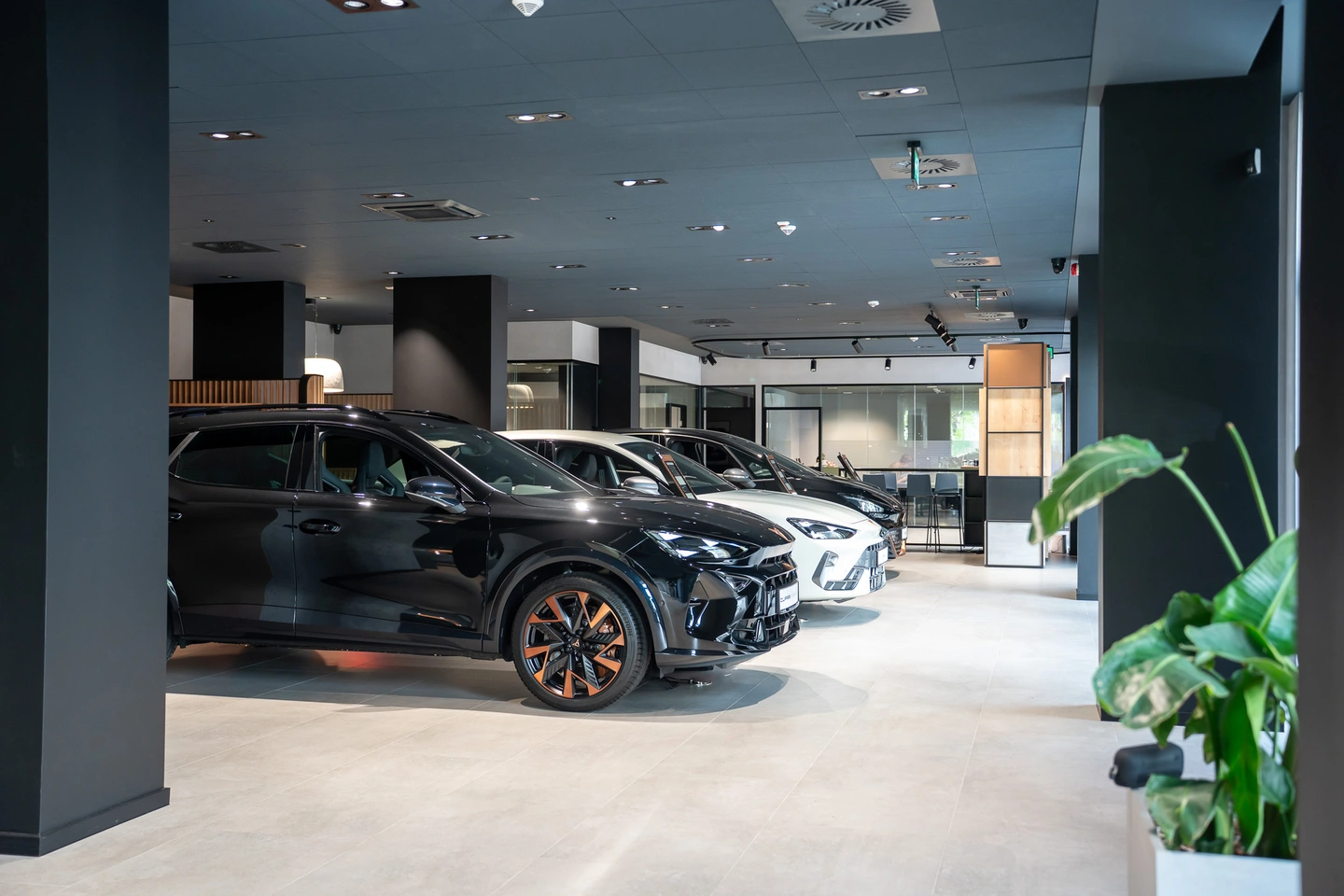 salon cupra studio warszawa praga
