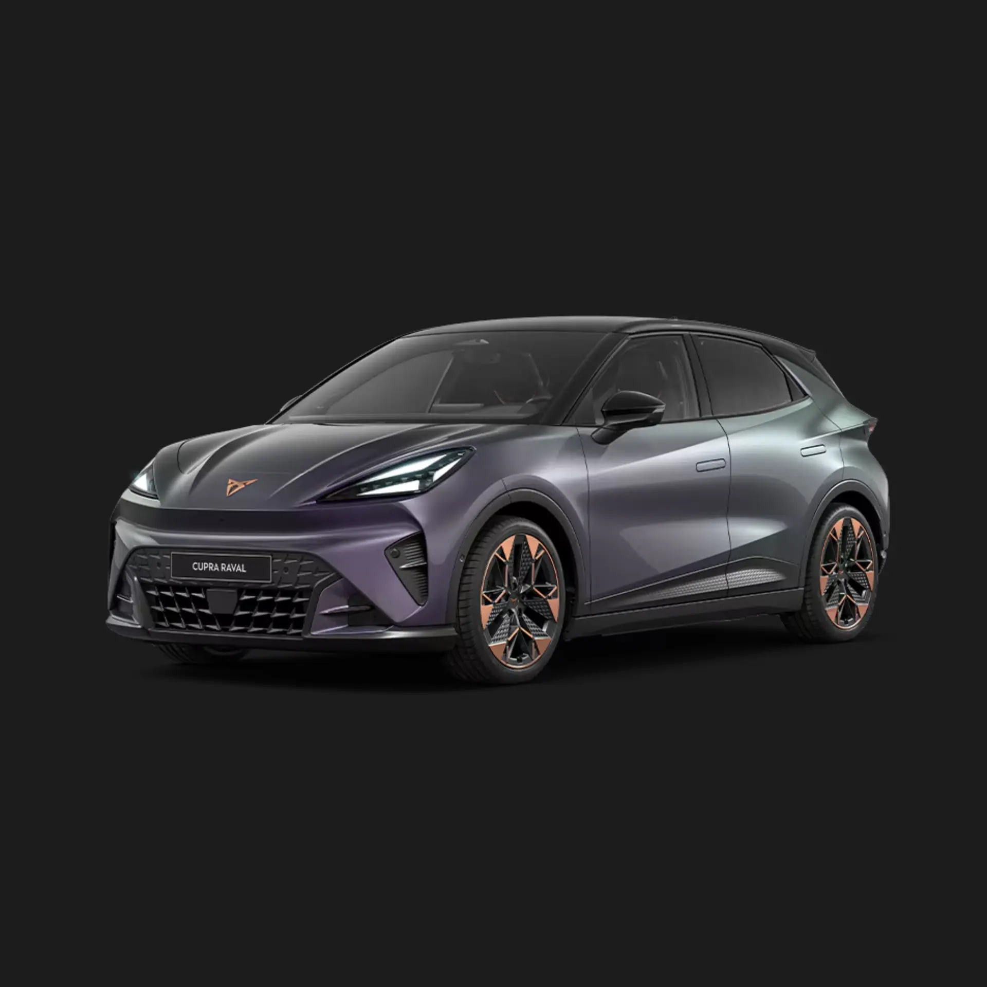 RAVAL Dynamic Plus