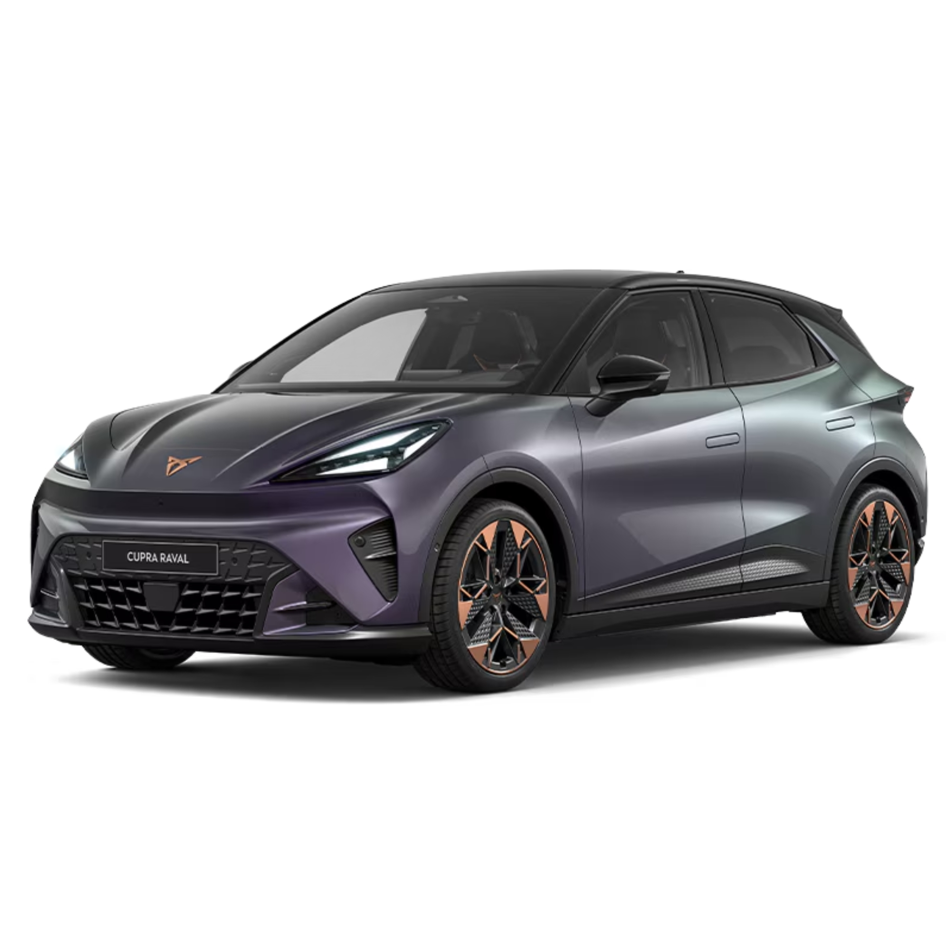 RAVAL Dynamic Plus