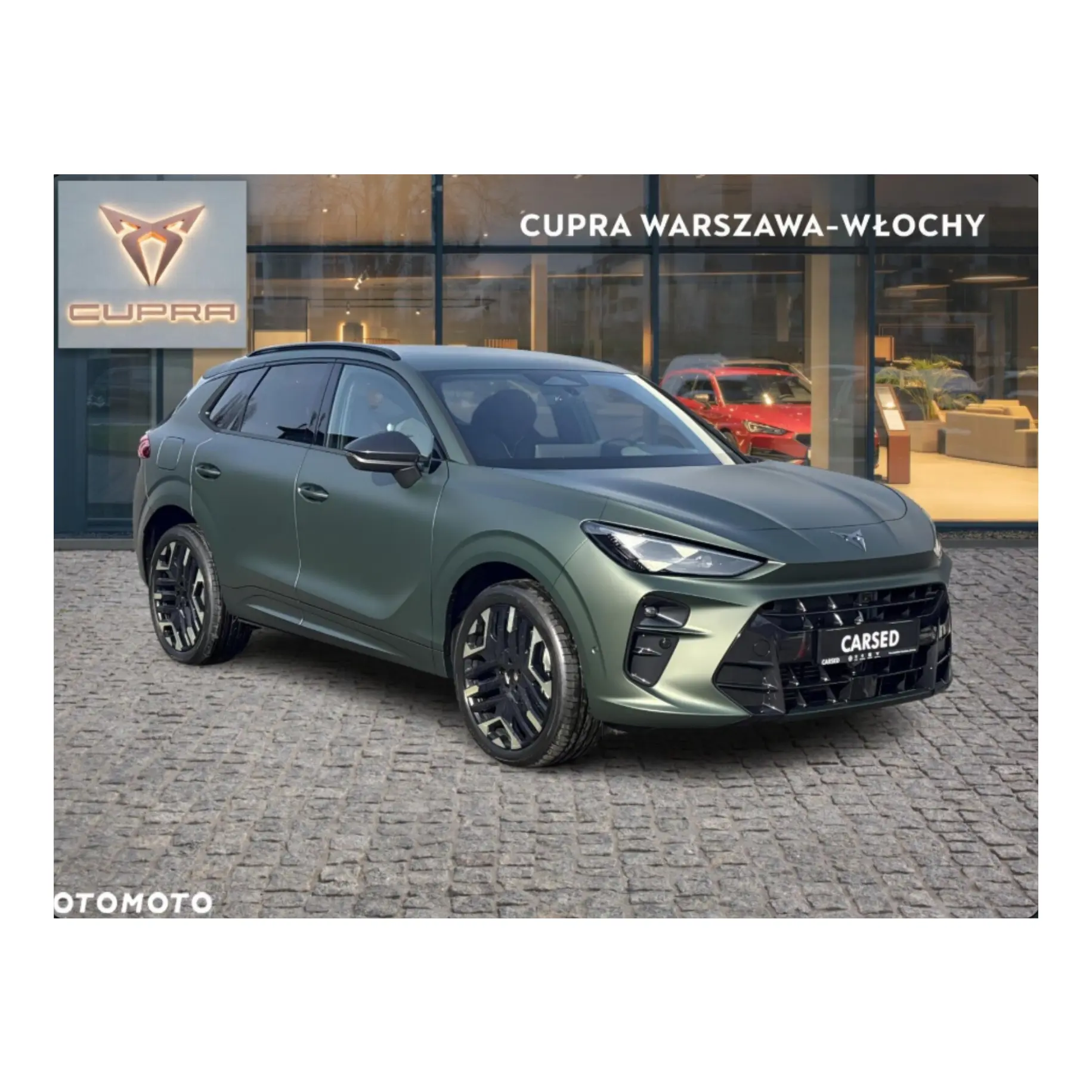 CUPRA Terramar Tribe Edition