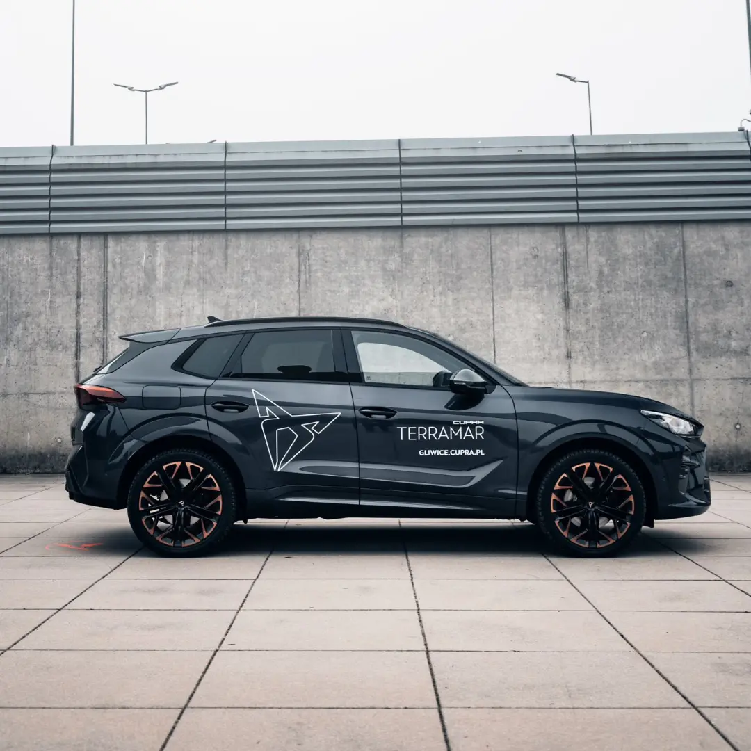 cupra terramar